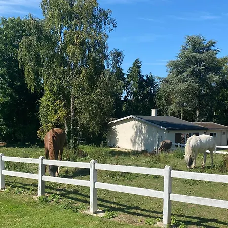 Au Cedre Bleu Vakantiehuis