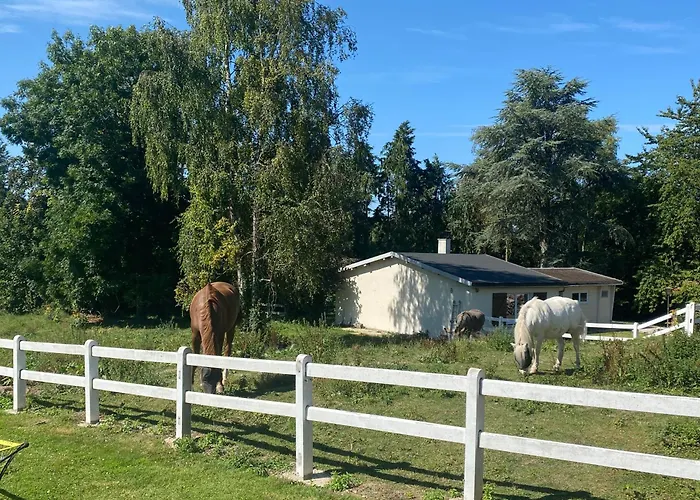 Au Cedre Bleu Ferienhaus